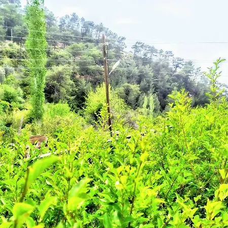 Patara *