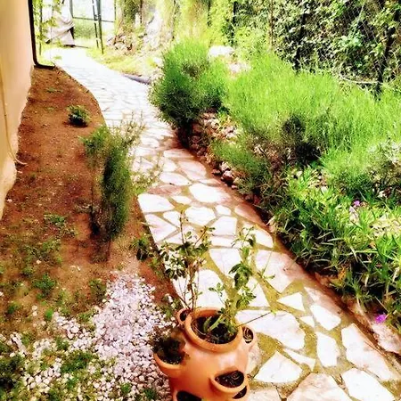 Patara Kas